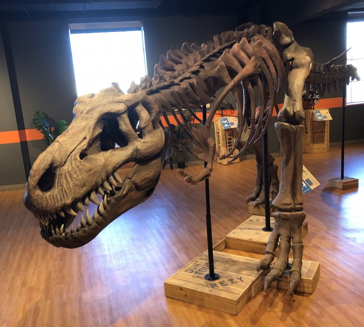 Museum of Discovery (Little&nbspRock,&nbspAR)